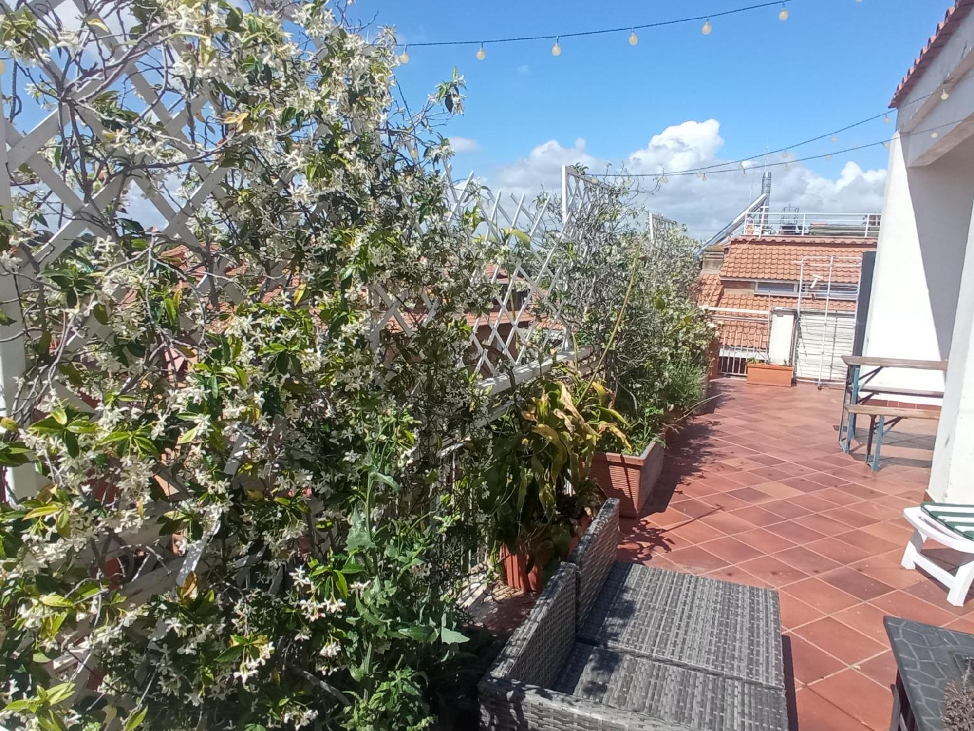 Rooftop Appia Antica,Silenzioso Riservato Two Bedrooms Two Bathrooms 罗马 外观 照片